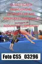 CS5_03296-