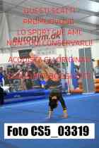 CS5_03319-