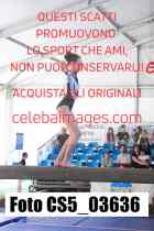 CS5_03636-