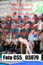 CS5_03879-