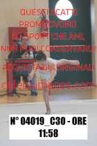 04019_C30
