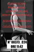08373_C24