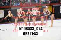 08433_C24