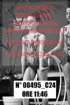 08495_C24