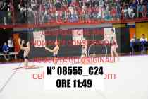 08555_C24