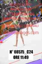 08575_C24