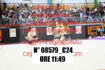 08579_C24