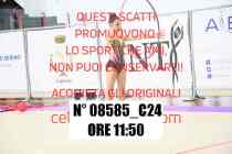 08585_C24