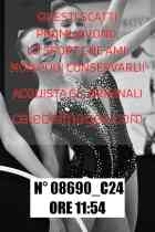 08690_C24