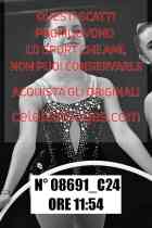 08691_C24