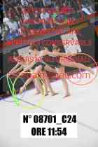 08701_C24