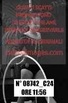 08742_C24