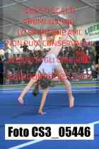 CS3_05446-