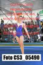 CS3_05490-