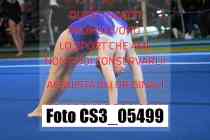 CS3_05499-