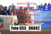 CS3_06042-