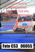 CS3_06055-