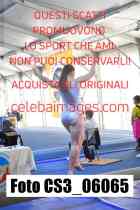 CS3_06065-