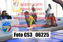 CS3_06225-