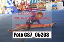 CS7_05203-