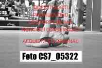 CS7_05322-