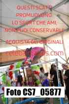 CS7_05877-