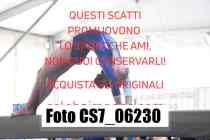 CS7_06230-