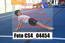 CS4_04454-