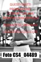 CS4_04489-