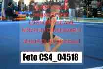 CS4_04518-