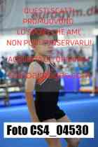 CS4_04530-