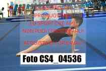 CS4_04536-
