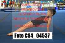 CS4_04537-