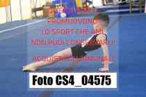 CS4_04575-