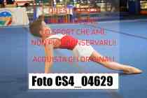 CS4_04629-