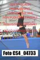 CS4_04733-