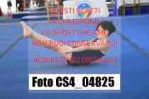 CS4_04825-