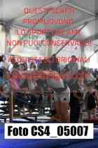 CS4_05007-