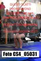 CS4_05031-