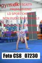 CS8_07230-