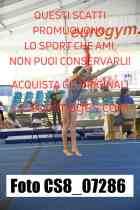 CS8_07286-
