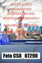 CS8_07290-