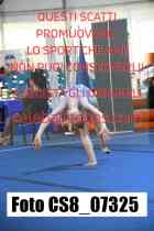 CS8_07325-