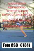 CS8_07341-