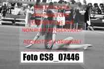 CS8_07446-