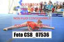 CS8_07536-