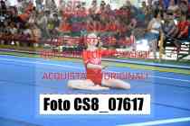 CS8_07617-
