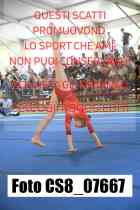 CS8_07667-