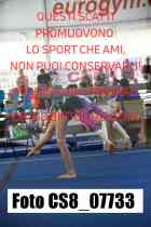 CS8_07733-
