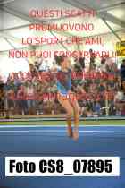 CS8_07895-
